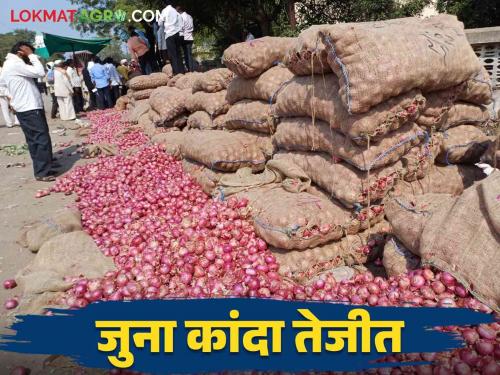 Kanda Bajar Bhav : Big increase in the price of old onion How is the price getting? | Kanda Bajar Bhav : जुन्या कांद्याच्या दरात मोठी वाढ.. कसा मिळतोय दर