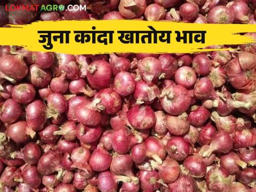 Kanda Bajar Bhav: Onion arrivals reduced by 50 percent due to bad weather | Kanda Bajar Bhav : अवकाळीमुळे कांदा आवक ५० टक्के घटली जुन्या कांद्याचा भाव तेजीत