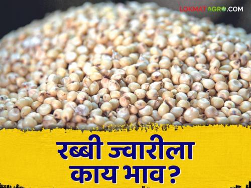 Latest news 19 may 2024 todays sorghum market price in market yards check here | Sorghum Market : शेवगाव बाजार समितीत ज्वारीला काय भाव मिळाला? वाचा आजचे बाजारभाव