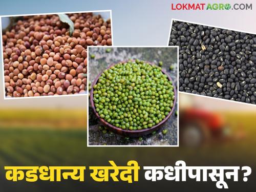 Procurement of moong, urad, soybean and tur soon; farmers should make these preparations before that | मूग, उडीद, सोयाबीन व तुरीची खरेदी लवकरच; त्यापूर्वी शेतकऱ्यांनी 'ही' तयारी करून ठेवा