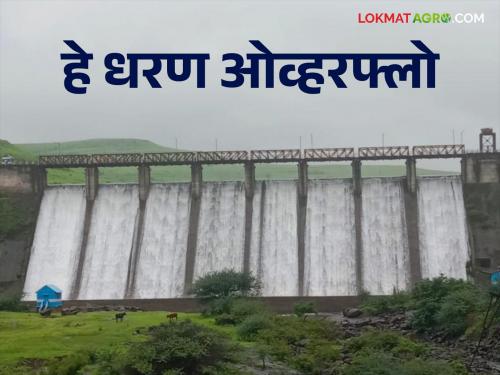 This dam is the first in Pune district to fill 100 percent | Pune Dam: पुणे जिल्ह्यातील सर्वप्रथम हे धरण भरले १०० टक्के