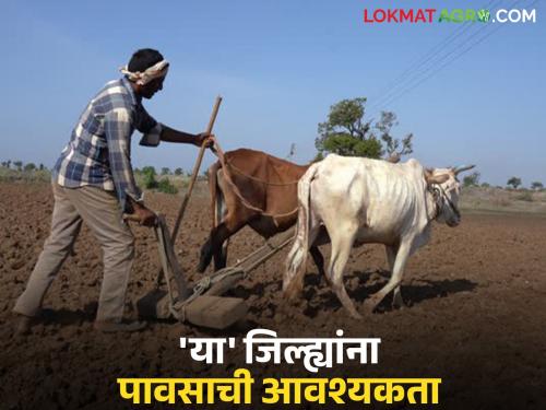 'These' seven districts in the state are still thirsty; crops will suffer a big loss if there is no rain | राज्यात 'हे' सात जिल्हे अजून तहानलेलेच; पाऊस न पडल्यास पिकांना मोठा फटका बसणार