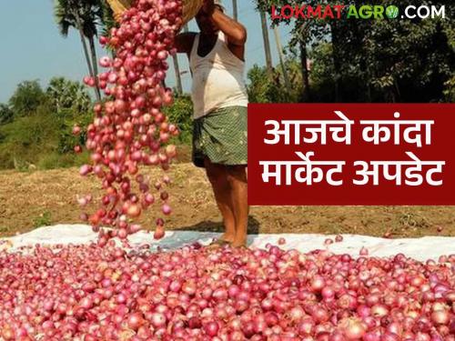 Latest News Kanda Bajar Bhav Lasalgaon and pimplagaon kanda market price increased than pune market | Kanda Bajar Bhav : पुणे बाजारापेक्षा लासलगाव, पिंपळगाव बाजारात कांद्याला काय भाव मिळतोय? 