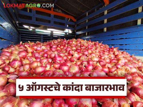 Latest News Kanda Market see todays 5 august onion market Nashik, Pune, Mumbai markets Read in detail | Kanda Market : 5 ऑगस्ट रोजी नाशिक, पुणे, मुंबई बाजारात कांद्याला काय दर मिळाला? वाचा सविस्तर 