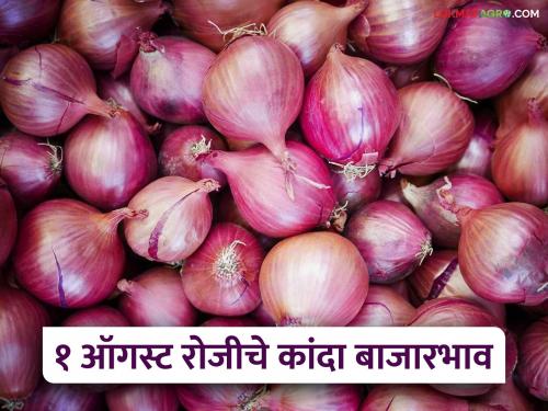 latest News kanda market onion market prices on 1st august Read in detail | Kanda Market : ऑगस्टच्या पहिल्या दिवशी कांद्याला क्विंटलमागे काय भाव मिळाला? वाचा सविस्तर 