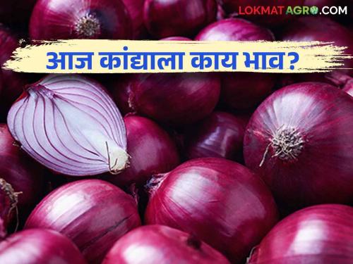 Latest News Kanda Bajarbhav summer and pole onions market price in Nashik district Read in details | Kanda Bajarbhav : नाशिक जिल्ह्यात उन्हाळ आणि पोळ कांद्याला काय भाव मिळतोय? वाचा आजचे बाजारभाव