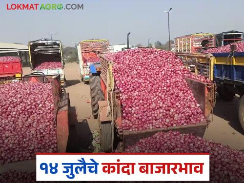 Latest News Kanda Market Onion prices in Solapur, Lasalgaon today on July 14 see details | Kanda Market : आज 14 जुलै रोजी सोलापूर, लासलगाव बाजारात कांद्याला काय दर मिळाले?