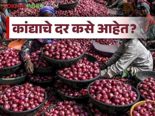 Latest News Kanda Bajar Bhav price of onion in which district in maharashtra Read in detail | Kanda Bajar Bhav : राज्यात कांद्याला कुठल्या जिल्ह्यात काय भाव मिळतोय? वाचा सविस्तर 