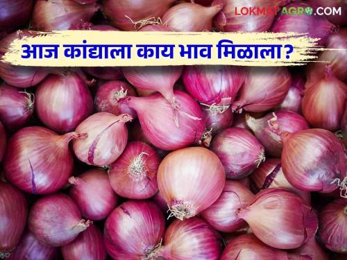 Latest News Kanda Bajarbhav Todays Onion Market price In Nashik district Market Yardc check here | Kanda Bajarbhav : नाशिक जिल्ह्यात उन्हाळ कांद्याला काय भाव मिळाला? वाचा आजचे बाजारभाव