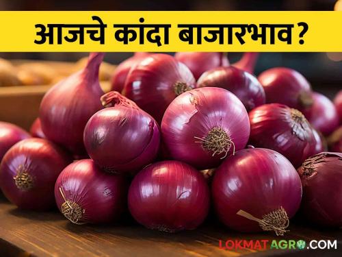 Latest News Todays Kanda bajarbhav In Nashik, Pune onion Market yard check here details | Kanda Market : पुणे, भुसावळ, नाशिक बाजारात कांद्याला काय भाव? वाचा आजचे बाजारभाव 