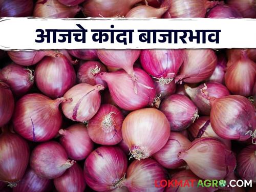 Kanda Bajarbhav see todays kanda price in Solapur, Nashik market yard check here | Kanda Bajarbhav : सोलापूर, नाशिक बाजार समितीत कांद्याला काय बाजार भाव मिळाला? वाचा आजचे बाजारभाव