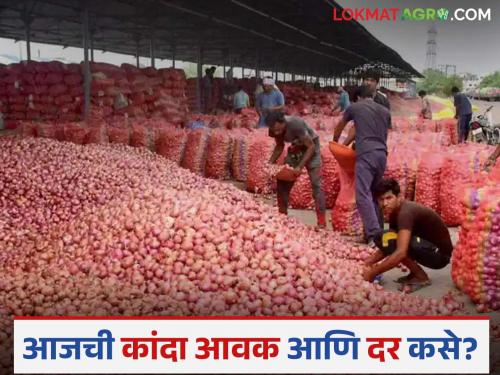 latest News Kanda bajar bhav Satisfactory prices for lal kanda in Nagpur and unhal onions in Umrane | Kanda Bajar Bhav : नागपूरमध्ये लाल तर उमराणेत उन्हाळ कांद्याला समाधानकारक दर, काय मिळाला भाव? 