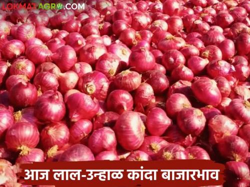 Latest News Kanda Bajarbhav Summer Onion Market Price in Nagar, Nashik, Sambhajinagar District, Read Details | Kanda Bajarbhav : नगर, नाशिक, संभाजीनगर जिल्ह्यातील उन्हाळ कांदा बाजारभाव, वाचा सविस्तर