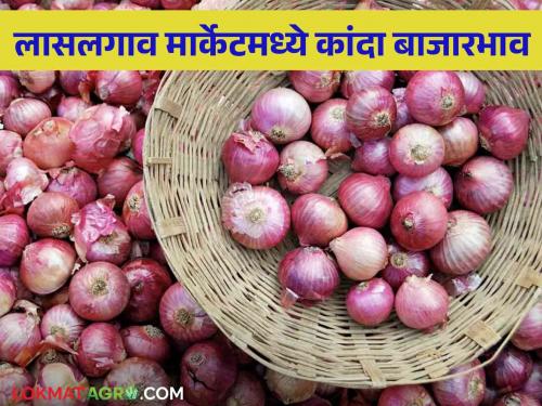 Latest News Kanda Bajarbhav todays onion price in Pune, Solapur, Nashik kanda market see details | Kanda Bajarbhav : पुणे, सोलापूर, नाशिकमध्ये कांद्याला काय भाव? वाचा आजचे बाजारभाव