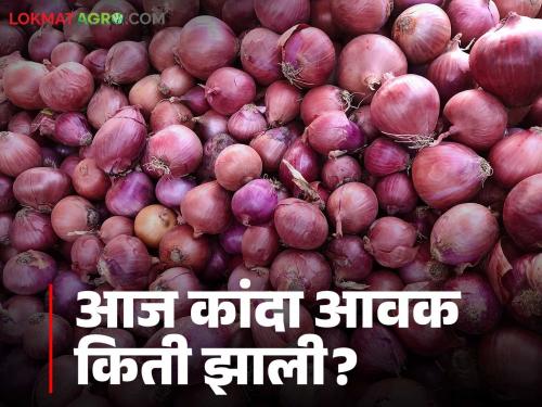 Latest News Kanda Market see todays Onion market prices on 3rd septmber see details | Kanda Market : आज तुमच्या जवळच्या कांदा मार्केटमध्ये काय दर मिळाले, वाचा सविस्तर