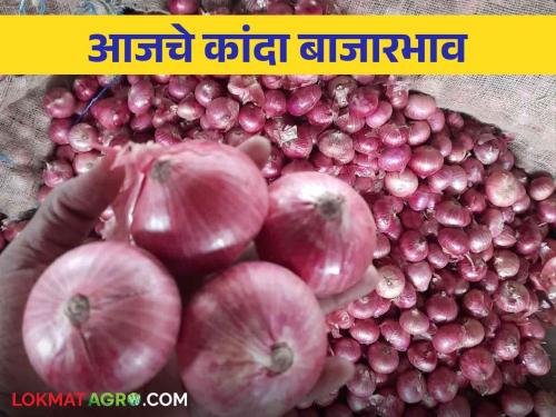 Latest News Kanda Bajarbhav Summer onion market price in Nashik district see details | Kanda Bajarbhav : नाशिक जिल्ह्यात उन्हाळ कांद्याला काय भाव मिळाला? वाचा आजचे बाजारभाव