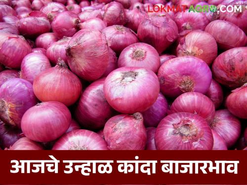 Latest News Kanda Bajarbhav onion market price in Ahmednagar district Ramtek Bazar, read today's rates | Kanda Bajarbhav : अहमदनगरच्या रामटेक बाजारात उन्हाळ कांद्याचा बाजारभाव, वाचा आजचे दर