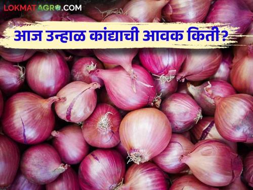 Latest News onion market price in Nashik, Pune, Mumbai market check todays Kanda bajarbhav | Kanda Bajarbhav : नाशिक, पुणे, मुंबई बाजारात कांद्याची आवक किती? काय मिळतोय बाजारभाव? वाचा सविस्तर