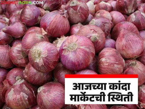 latest news Kanda Market See Onion market Prices by market committee-wise on 9th september read in detail | Kanda Market : आज ९ सप्टेंबरला बाजार समितीनिहाय कांद्याला काय दर मिळाले, वाचा सविस्तर 