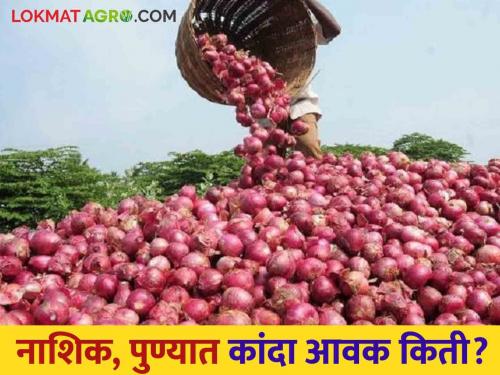 Latest News Kanda Bajarbhav summer onion and local onion market price in Nashik and Pune | Kanda Bajarbhav : नाशिकमध्ये उन्हाळ आणि पुण्यात लोकल कांद्याला काय भाव मिळाला? वाचा आजचे बाजारभाव