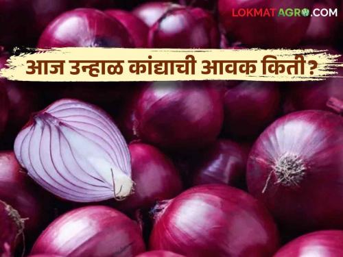 Latest News today Kanda Bajarbhav Inflow increased in Pune, Solapur, read today's onion market price | Kanda Bajarbhav : पुणे, सोलापुर बाजारात आवक वाढली, वाचा आजचे कांदा बाजारभाव