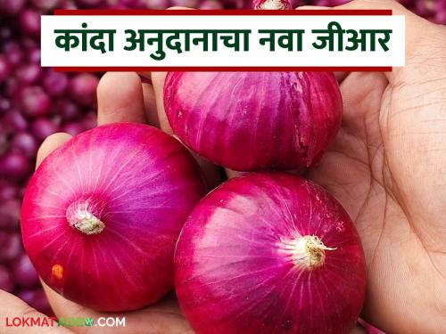 Kanda Anudan : Revised GR of Onion subsidy scheme has come; Changes in subsidy for this district | Kanda Anudan : कांदा अनुदान योजनेचा सुधारित जीआर आला; या जिल्ह्याच्या अनुदानात बदल