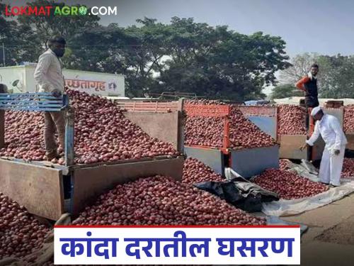 Latest News kanda market By how much percentage did onion prices fall in year Read in detail | Kanda Market : वर्षभरात कांद्याचे दर किती टक्क्यांनी घसरले? वाचा सविस्तर 