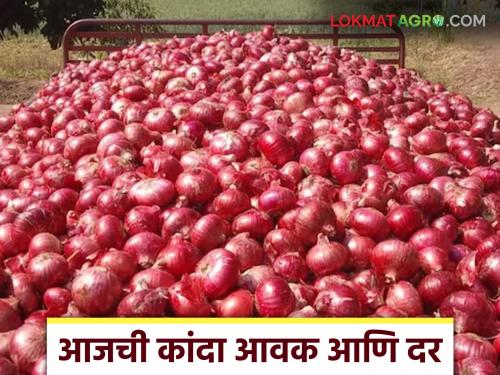 Latest News Kanda Bajar Bhav Red onion prices fell again in Solapur market see details | Kanda Bajar Bhav : सोलापुर बाजारात पुन्हा लाल कांदा घसरला, आज काय भाव मिळाला? 