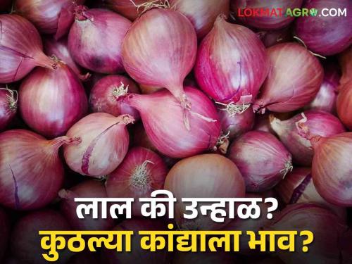 Latest News Todays Onion bajarbhav in nashik and lasalgaon market yards check here details | Onion Bajarbhav : लाल आणि उन्हाळ कांद्याला क्विंटलमागे सरासरी 'इतका' भाव मिळतोय, वाचा आजचे बाजारभाव