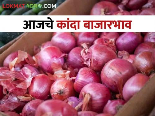 Latest News Todays onion bajarbhav in nagpur and ramtek bajaar samiti check here kanda market | Onion Bajarbhav : नागपूर आणि रामटेक बाजारात उन्हाळ कांद्याला काय भाव? वाचा आजचे बाजारभाव