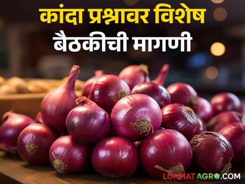 Latest News Agriculture News Demand for special meeting on onion issue with Chief Minister  | Onion Issue : कांदा प्रश्नावर विशेष बैठकीची मागणी, संघटनेकडून मुख्यमंत्र्यांना पत्र 