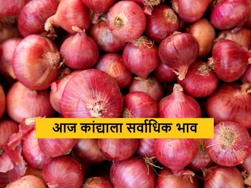 Latest News 8 jun 2024 highest price for red onion in Solapur market check todays Onion bajarbhav | Onion Bajarbhav : सोलापूर बाजारात लाल कांद्याला काय भाव, जाणून घ्या कुठे-काय भाव मिळाला? 