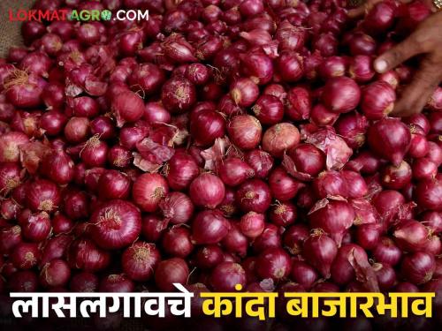 Latest News Kanda Bajarbhav todays onion market price in Lasalgaon, Pimpalgaon kanda market Read in detail | Kanda Bajarbhav : उन्हाळ कांदा घसरला, लासलगाव, पिंपळगावला काय भाव मिळाला? वाचा सविस्तर