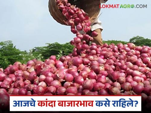 Latest news Kanda bajar bhav Arrivals in Solapur increased, prices down see kanda prices in Lasalgaon | सोलापुरात आवक वाढली, दर घसरले, लासलगाव कांदा बाजारात काय दर मिळतोय?