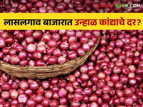 Latest news Todays onion market in lasalgaon market yard check here kanda bajarbhav | Onion Market : लासलगावसह अन्य बाजार समितीत उन्हाळ कांद्याचा भाव काय? जाणून घ्या सविस्तर