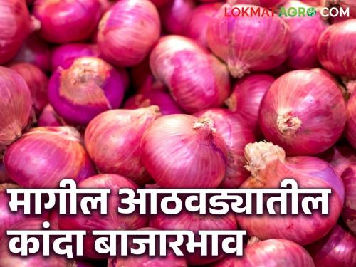 Latest News Weekly Kanda Market Onion price drop in Solapur, Nashik kanda market, read last week's price | Weekly Kanda Market : सोलापूर, नाशिक बाजारात कांदा दरात 'इतकी' घसरण, वाचा मागील आठवड्यातील दर