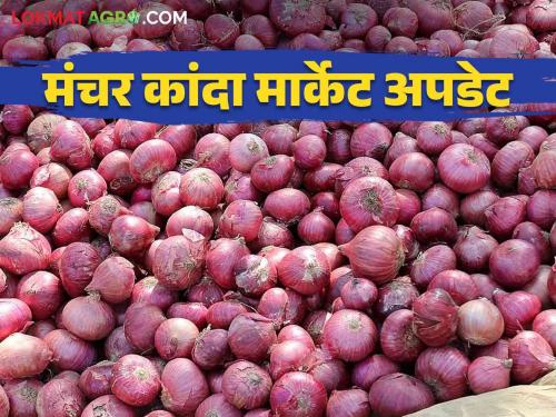 Kanda Bajar Bhav : How onion got the price in Manchar Bazaar Committee on the occasion of Diwali | Kanda Bajar Bhav : दिवाळीच्या मुहूर्तावर मंचर बाजार समितीत कांद्याला कसा मिळाला दर