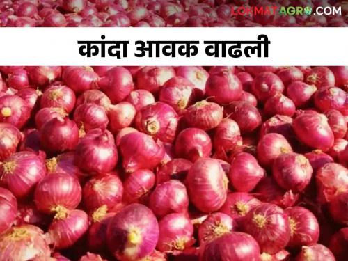 Kanda Bajarbhav : In Ghodegaon market committee onion market price goes to four thousand | Kanda Bajarbhav : घोडेगावात बाजार समितीत कांदा गेला पावणेपाच हजारांवर