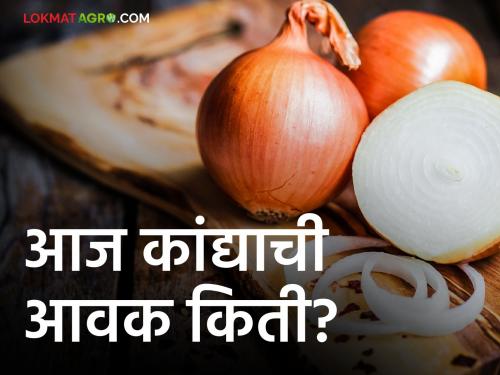 Latest News Todays Onion Bajarbhav In nashik, solapur market yard check here details | Onion Bajarbhav : राज्यात कांद्याच्या आवकेसह बाजारभावातही बदल, जाणून घ्या आजचे बाजारभाव