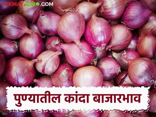 :Latest News Kanda bajarbhav Onion Market price in Ahmednagar, Pune kanda market Know in detail | Kanda Market : आज अहमदनगर, पुण्यात कांद्याला काय भाव मिळाला? जाणून घ्या सविस्तर 