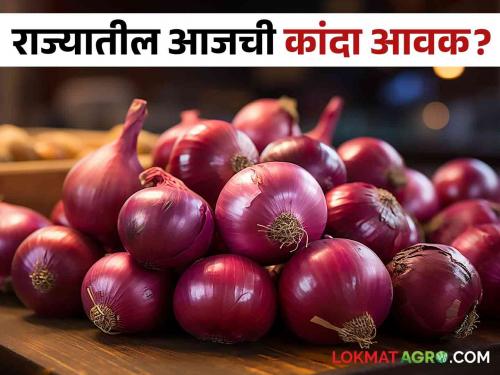 Latest News Todays Onion Market price maharashtra mandi check here kanda bajarbhav | Kanda Bajarbhav : राज्यात कांद्याला सरासरी काय भाव मिळतोय? वाचा आजचे बाजारभाव