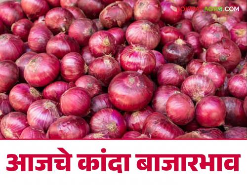 kanda Bajarbhav : Onion Bangladesh chaos has no effect on onion market prices, read today's market prices  | kanda Bajarbhav : बांग्लादेशच्या अराजकतेचा कांदा बाजारभावावर परिणाम नाही, वाचा आजचे बाजारभाव 