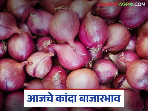 Today, once again, the highest number of summer onions from Nashik district are in the market; Read what is the price being offered | आज पुन्हा एकदा नाशिक जिल्ह्यातून सर्वाधिक उन्हाळ कांदा बाजारात; वाचा काय मिळतोय दर