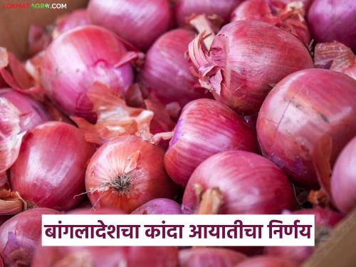 Latest News Kanda Market Permission to import onions from Bangladesh see details | Kanda Market : बांगलादेशकडून कांदा आयात सुरु झाली? बॉर्डरवर काय परिस्थिती, वाचा सविस्तर