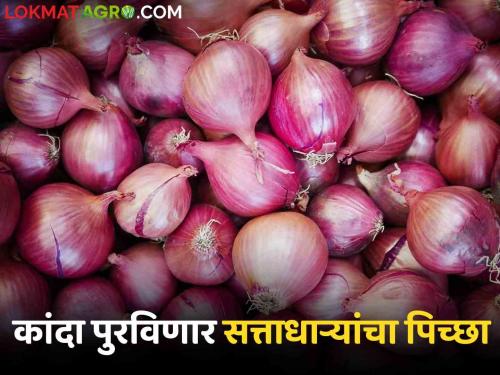 Latest News Dissatisfaction among farmers regarding government's Onion Mahabank | Onion Mahabank : कांदा महाबँकेबाबत असमाधान, शेतकरी म्हणतात, 'त्यापेक्षा निर्यात शुल्क काढा' 