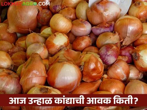 Latest News Kanda Bajarbhav todays onion Market Price in nashik, solapur kanda market see details | Kanda Bajarbhav : लाल-उन्हाळ कांद्याला काय भाव मिळतोय? वाचा आजचे सविस्तर बाजारभाव