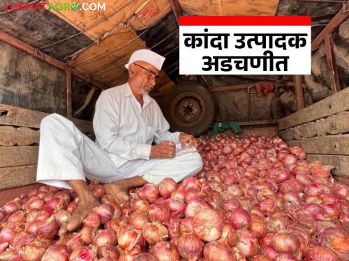 Latest News Onion price down is conspiracy of central government', says Bharat Dighole of Onion Association | कांद्याचे भाव पाडणे हे केंद्र सरकारचे षडयंत्र', कांदा संघटनेचे भारत दिघोळे यांचा घणाघात 
