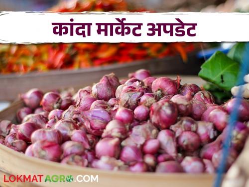 Latest News Kanda Bajarbhav Todays Onion Market price in solapur and Nashik kanda market see details | Kanda Bajarbhav : सोलापुरात कांदा आवक वाढली, नाशिकमध्ये आज काय बाजारभाव मिळाला? 