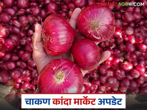 Kanda Market : Onion prices increased in Chakan Market Committee compared to last week | Kanda Market : गेल्या आठवड्याच्या तुलनेत चाकण बाजार समितीत कांद्याचा भाव वाढला