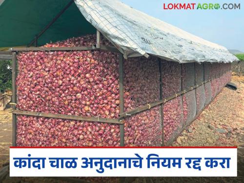 latest News Kanda chal increase subsidy on onion chal says onion farmers | Kanda Chal : 'मागेल त्याला' या तत्त्वावर कांदा चाळ द्या, शिवाय अनुदानात वाढ करा